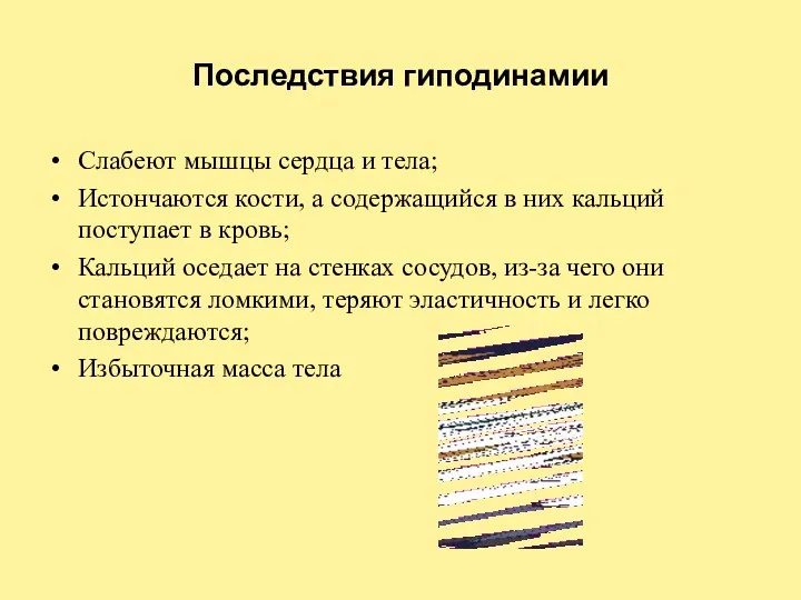 Последствия гиподинамии Слабеют мышцы сердца и тела; Истончаются кости, а