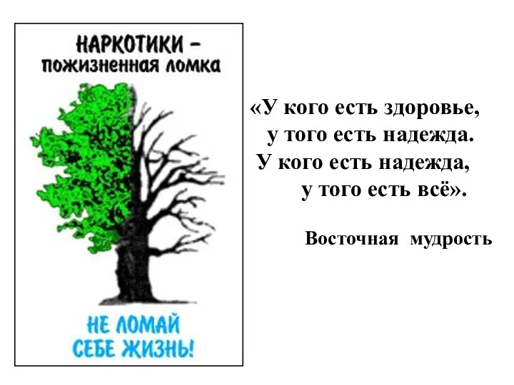 «У кого есть здоровье, у того есть надежда. У кого