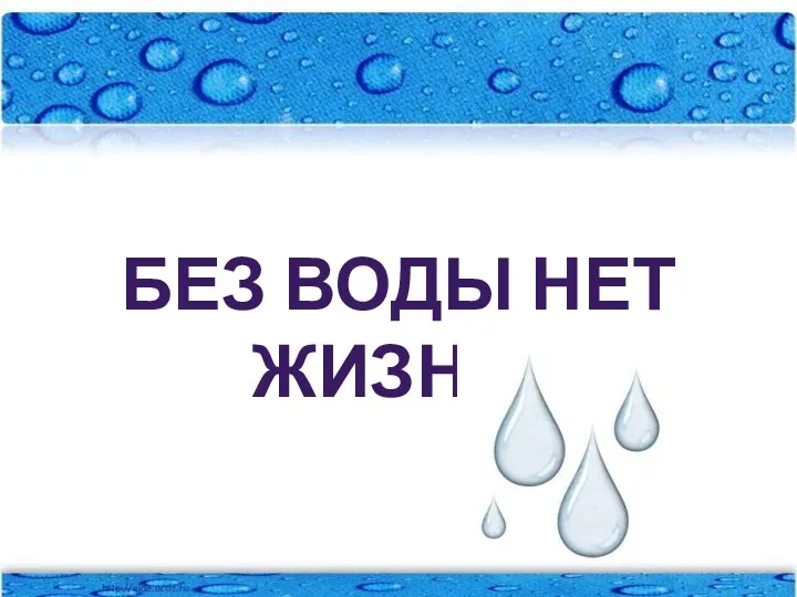 Без воды нет жизни!