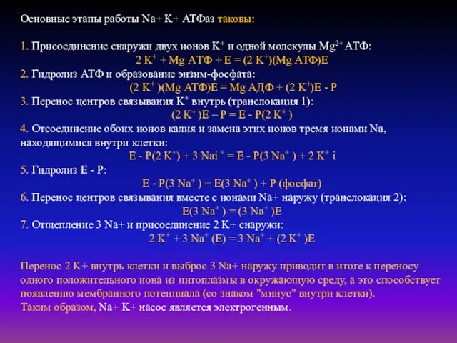 Основные этапы работы Na+ K+ АТФаз таковы: 1. Присоединение снаружи двух ионов K+