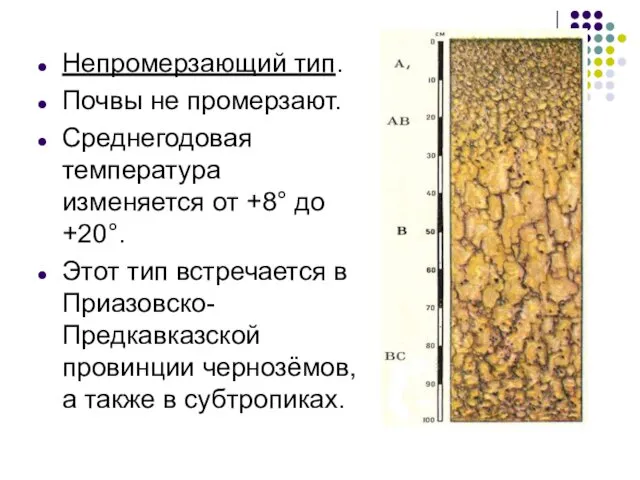 Непромерзающий тип. Почвы не промерзают. Среднегодовая температура изменяется от +8°