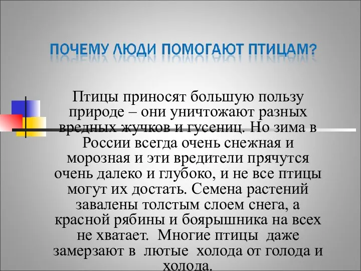 Птицы приносят большую пользу природе – они уничтожают разных вредных жучков и гусениц.