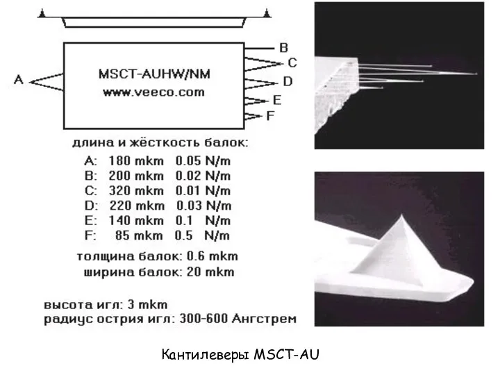 Кантилеверы MSCT-AU