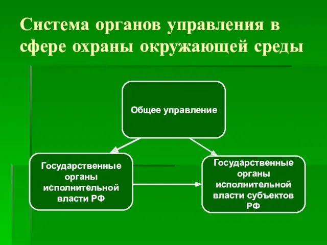 Система органов управления в сфере охраны окружающей среды Государственные органы исполнительной власти РФ