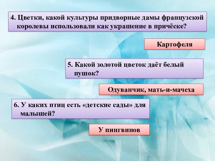 4. Цветки, какой культуры придворные дамы французской королевы использовали как