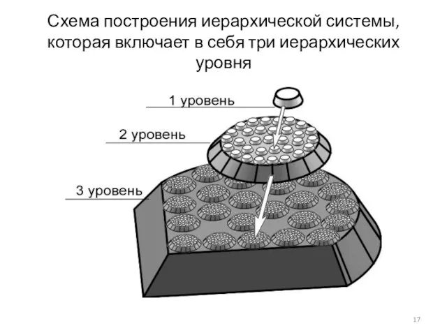 Схема построения иерархической системы, которая включает в себя три иерархических уровня