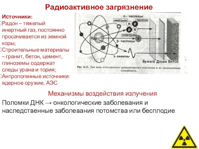 Радиоактивное загрязнение Механизмы воздействия излучения Поломки ДНК → онкологические заболевания