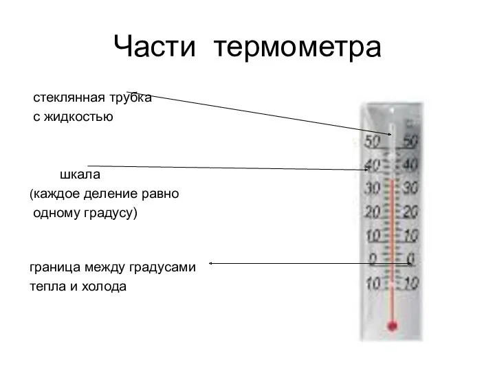 Части термометра стеклянная трубка с жидкостью шкала (каждое деление равно