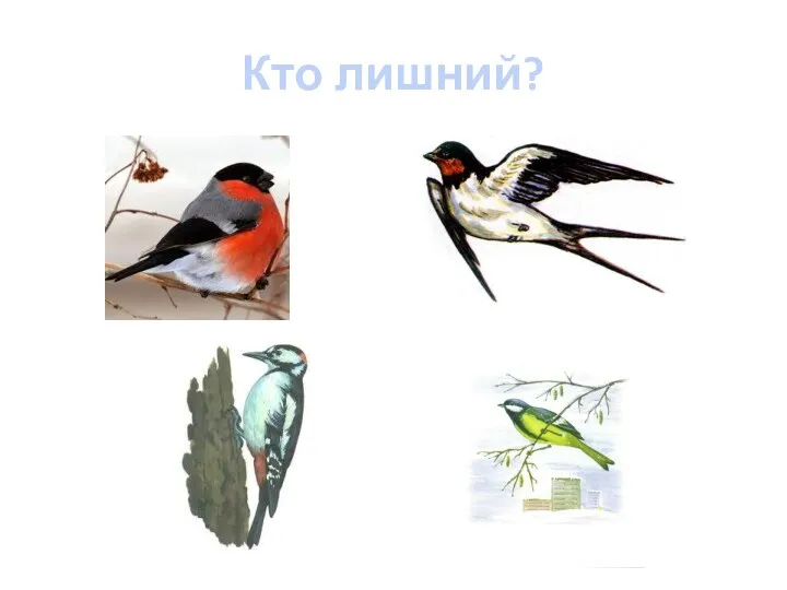 Кто лишний?