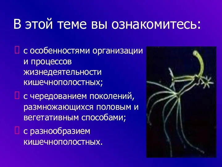 В этой теме вы ознакомитесь: с особенностями организации и процессов