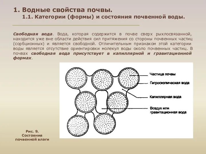 1. Водные свойства почвы. 1.1. Категории (формы) и состояния почвенной