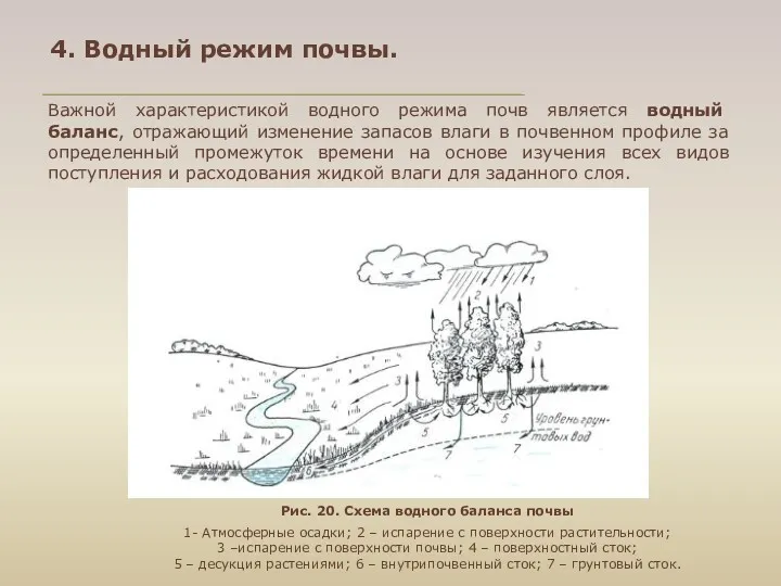 4. Водный режим почвы. Важной характеристикой водного режима почв является