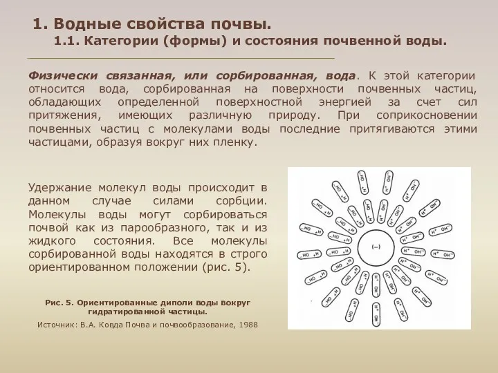 1. Водные свойства почвы. 1.1. Категории (формы) и состояния почвенной