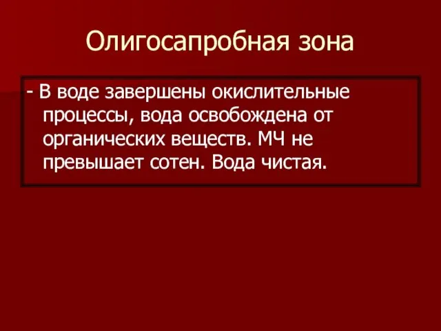 Олигосапробная зона - В воде завершены окислительные процессы, вода освобождена