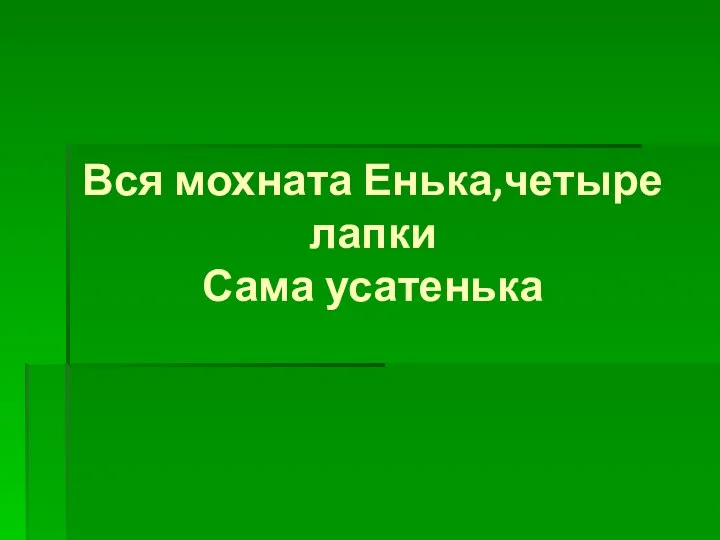 Вся мохната Енька,четыре лапки Сама усатенька