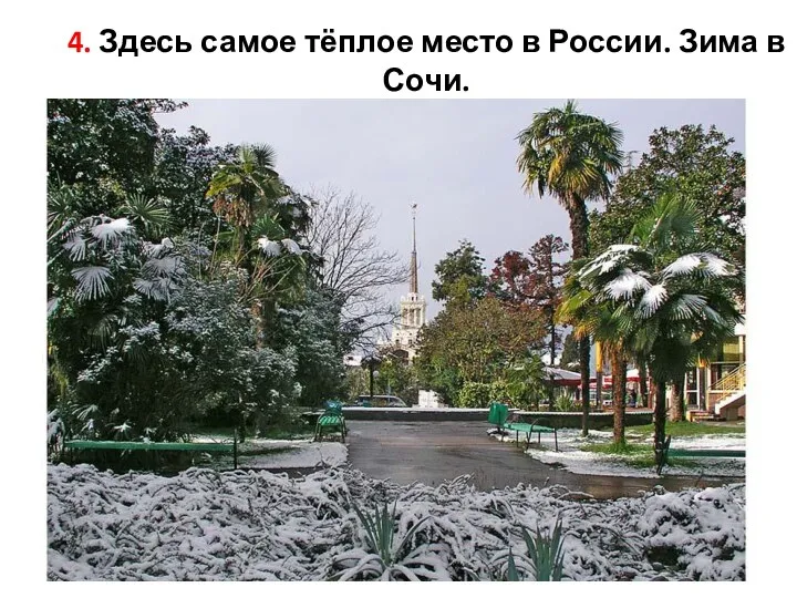 4. Здесь самое тёплое место в России. Зима в Сочи.