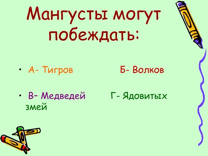 Мангусты могут побеждать: А- Тигров Б- Волков В– Медведей Г- Ядовитых змей