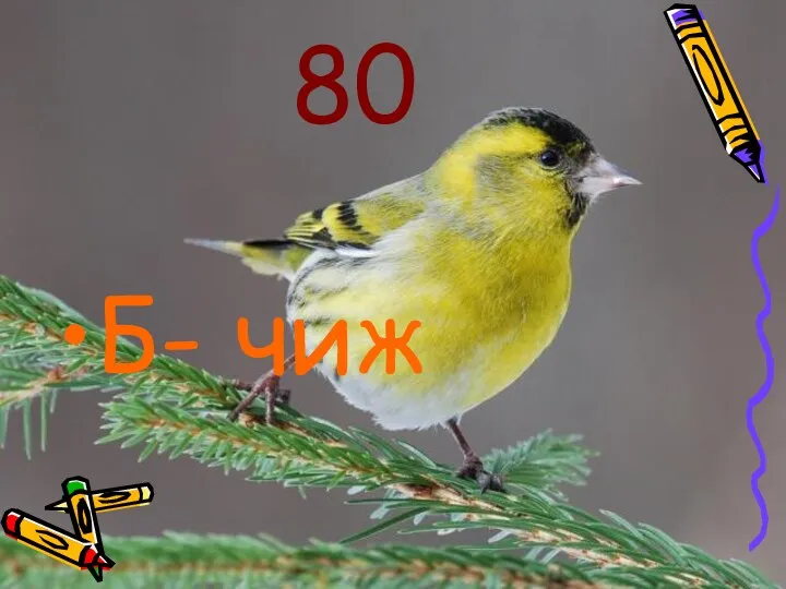 80 Б- чиж