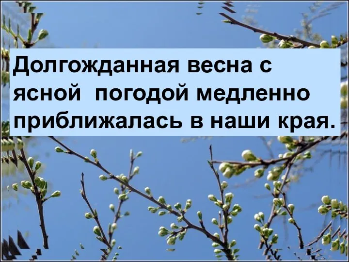 Долгожданная весна с ясной погодой медленно приближалась в наши края.