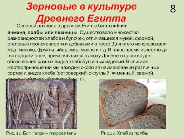 Зерновые в культуре Древнего Египта Основой рациона в древнем Египте