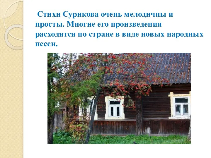 Стихи Сурикова очень мелодичны и просты. Многие его произведения расходятся