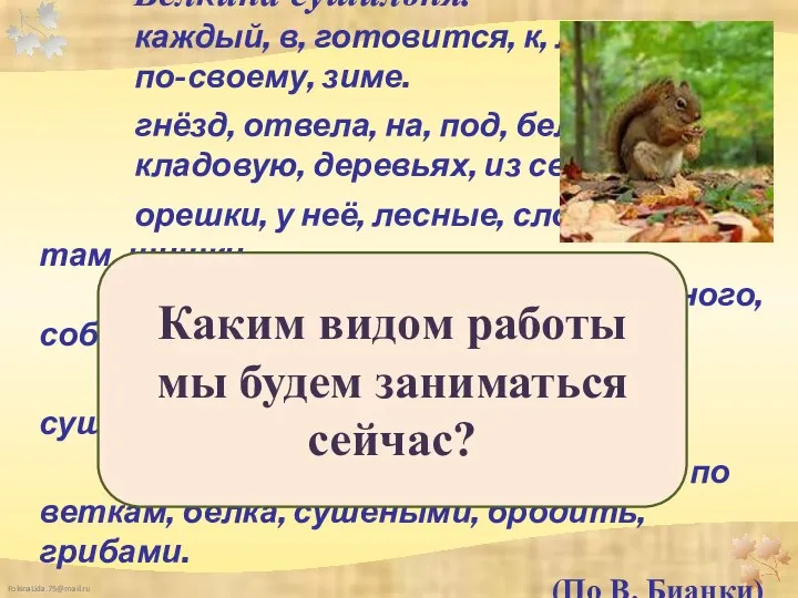 Белкина сушильня. каждый, в, готовится, к, лесу, по-своему, зиме. гнёзд,