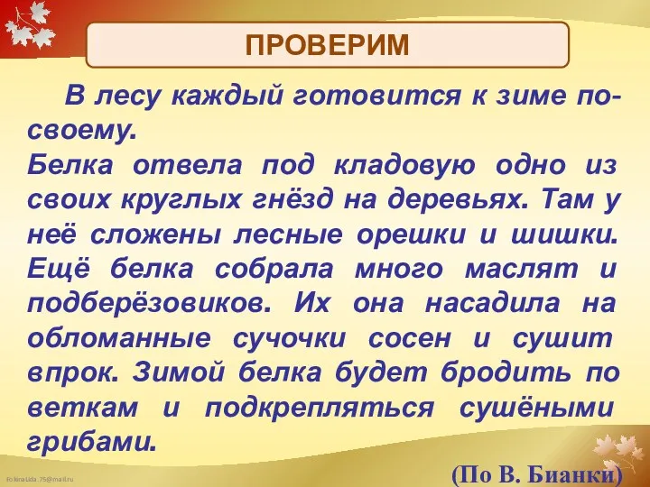 Белкина сушильня. В лесу каждый готовится к зиме по-своему. Белка