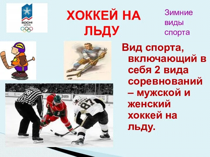 Вид спорта, включающий в себя 2 вида соревнований – мужской и женский хоккей