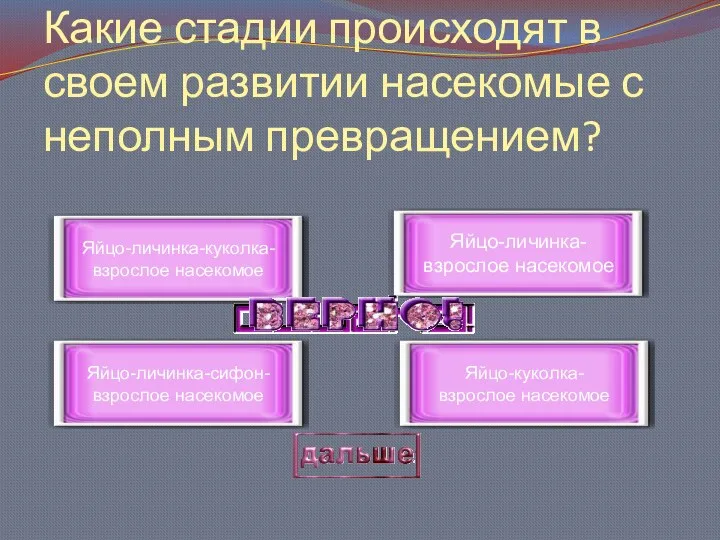 Какие стадии происходят в своем развитии насекомые с неполным превращением?