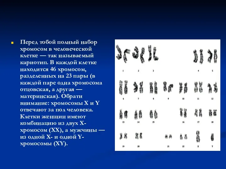 Перед тобой полный набор хромосом в человеческой клетке — так называемый кариотип. В