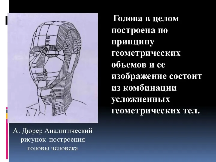 Голова в целом построена по принципу геометрических объемов и ее изображение состоит из