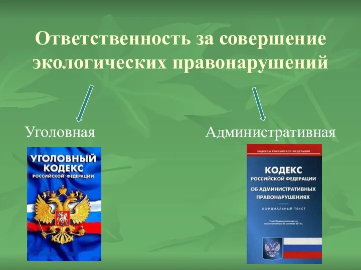 Ответственность за совершение экологических правонарушений Уголовная Административная