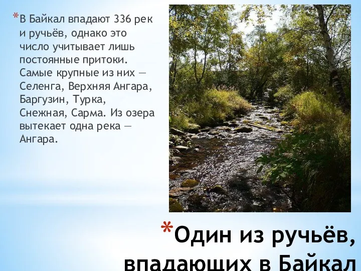 Один из ручьёв, впадающих в Байкал В Байкал впадают 336