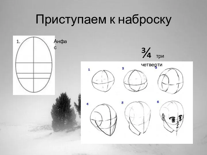 Приступаем к наброску 1. Анфас ¾ три четверти