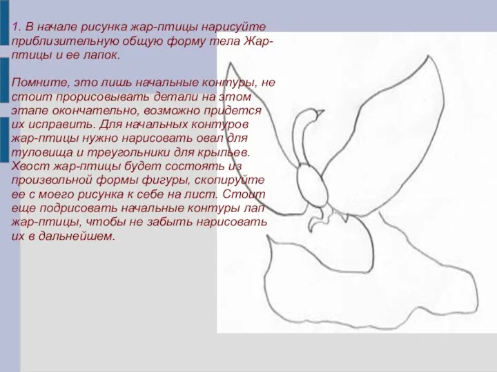 1. В начале рисунка жар-птицы нарисуйте приблизительную общую форму тела