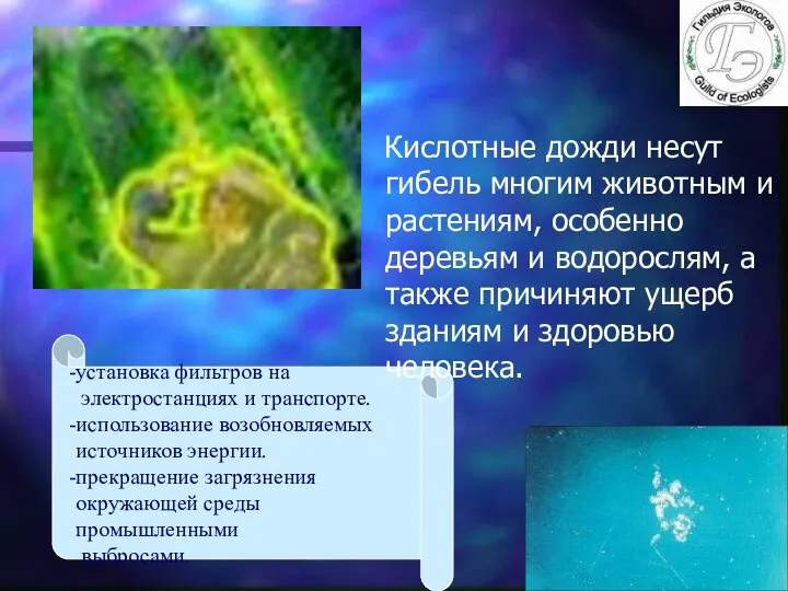 установка фильтров на электростанциях и транспорте. использование возобновляемых источников энергии.