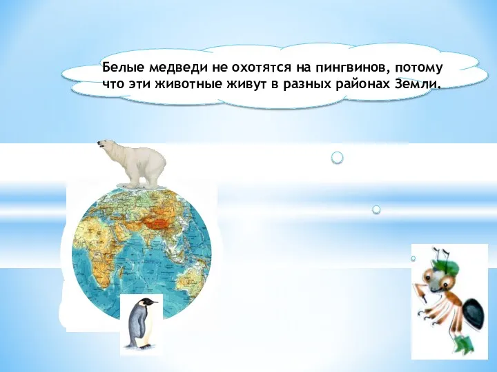 Белые медведи не охотятся на пингвинов, потому что эти животные живут в разных районах Земли.