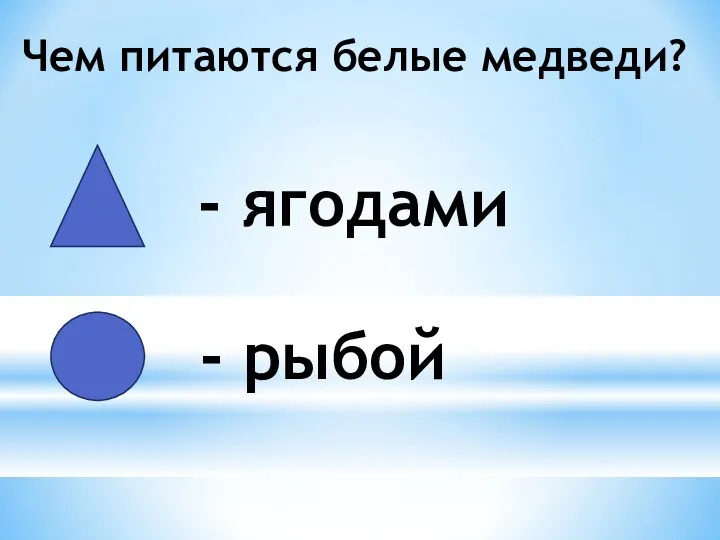 - ягодами Чем питаются белые медведи? - рыбой