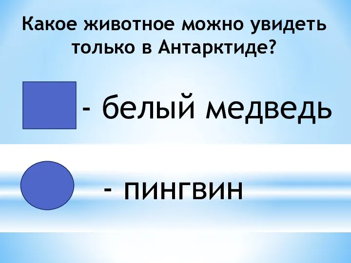 Какое животное можно увидеть только в Антарктиде? - белый медведь - пингвин