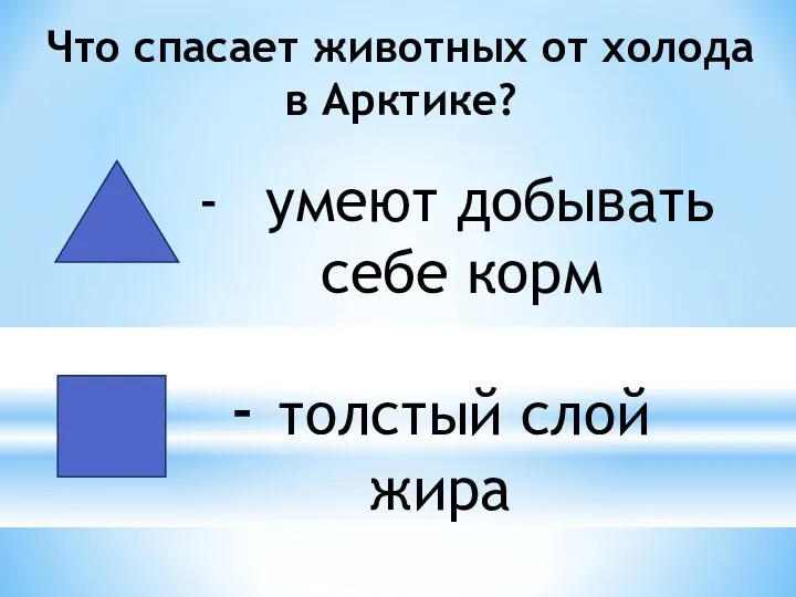 Что спасает животных от холода в Арктике? - толстый слой жира умеют добывать себе корм