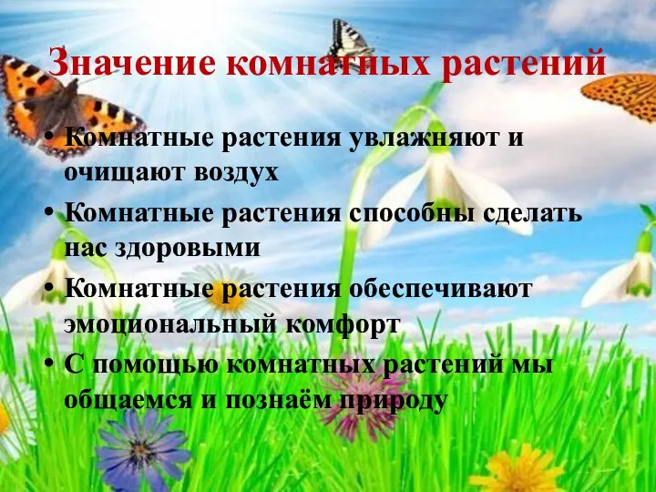 Значение комнатных растений Комнатные растения увлажняют и очищают воздух Комнатные