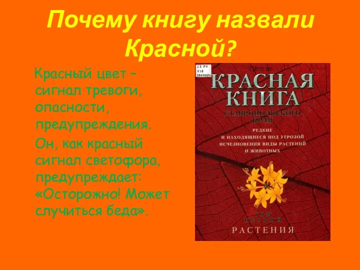 Почему книгу назвали Красной? Красный цвет – сигнал тревоги, опасности,