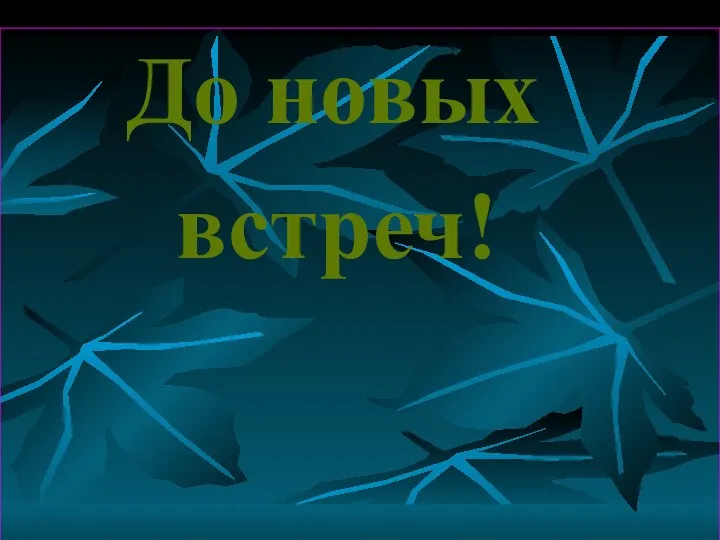 До новых встреч!