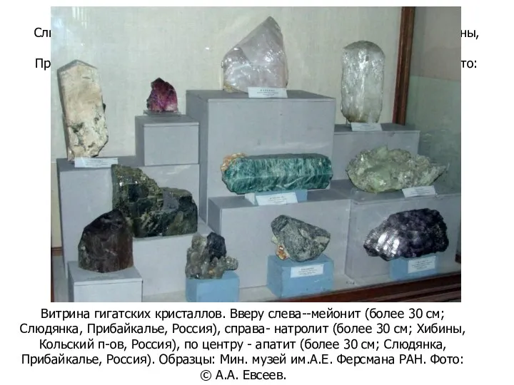 Витрина гигатских кристаллов. Вверу слева--мейонит (более 30 см; Слюдянка, Прибайкалье,