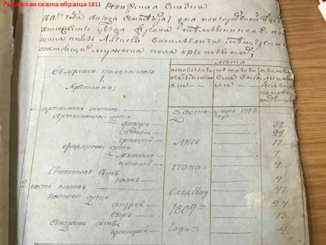 Ревизская сказка образца 1811 г.