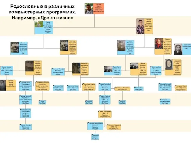 Родословные в различных компьютерных программах. Например, «Древо жизни»