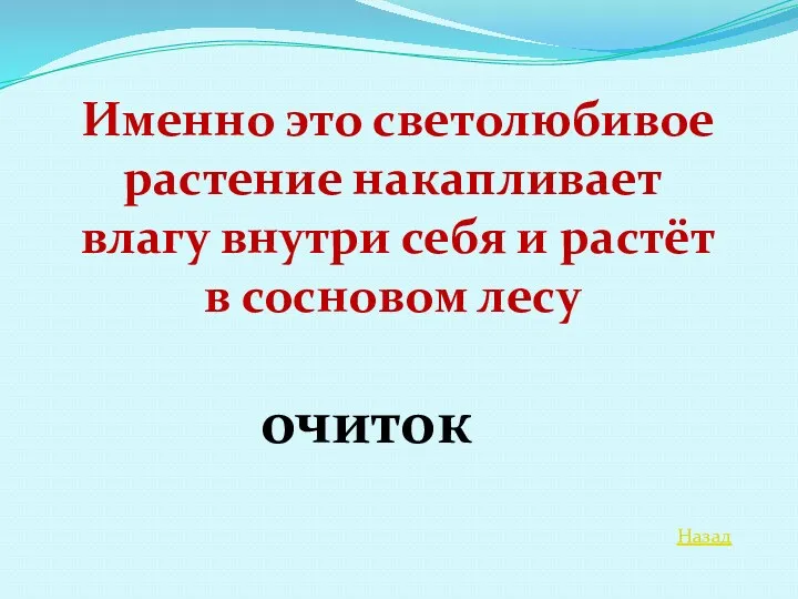 Назад Именно это светолюбивое растение накапливает влагу внутри себя и растёт в сосновом лесу очиток