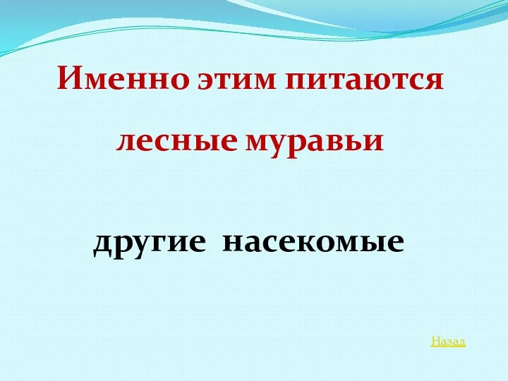 Назад Именно этим питаются лесные муравьи другие насекомые