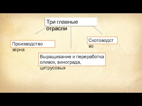 Три главные отрасли Производство зерна Выращивание и переработка оливок, винограда, цитрусовых Скотоводство