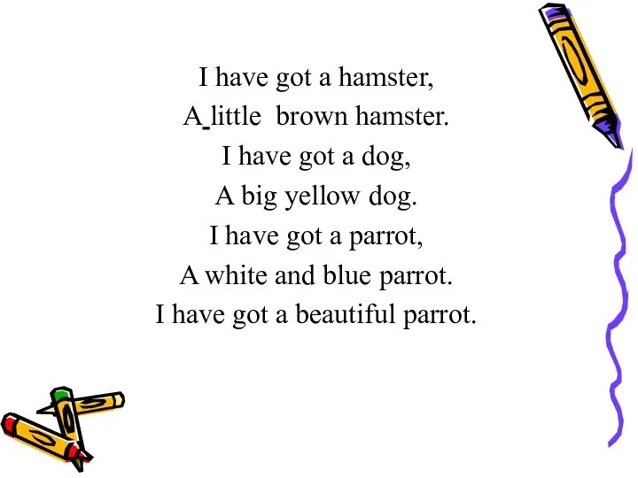 I have got a hamster, A little brown hamster. I